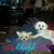 Brenda Taylor's profile image