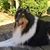 Cynthia Childress's profile image