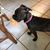 Charlene Kenyon's profile image