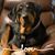 Tina Brucker-Bartolo's profile image