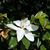 Priscilla MsPrissy Simpson's profile image