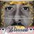 Jhonatan C. Francois's profile image