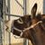 Tara Firma's profile image