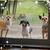 Kim DeJardin's profile image