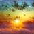 Lisa Taskey's profile image