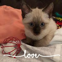 Michelle Eberwein's profile image
