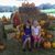 Darlene Welch's profile image
