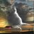 Myatt Arnold Opal's profile image