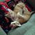Debbie Tallman-Morrison's profile image