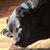 Brenda Mehlberg's profile image
