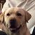 Julie Ramser's profile image