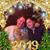 Pamela Morris's profile image