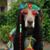 Eddie Lail's profile image