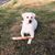 Kelly Peterson-Janusiewicz's profile image
