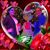 Pam Messina's profile image