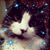 Matthew John Bell Sr.'s profile image