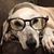 Willow B Dean's profile image