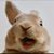 Beth Holt-Moore's profile image