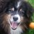 Dede Porter's profile image