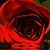 Brenda Schader's profile image