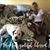 Tami Radel's profile image