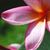 Tricia Johnson's profile image