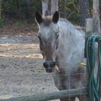Mary Martin Long's profile image