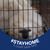 Dianne L Migas's profile image
