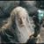 Mark Walker's profile image