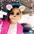 Lina Mohammad's profile image