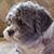 Karon Fallon's profile image