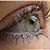 Nelly Fouad's profile image