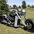 Taylor Matthew Rashall's profile image