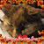 Maddy Jordan's profile image
