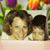 Sandy Bosch's profile image