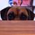 Jeffrey Mateo's profile image