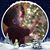 Fran Agostinho Baker's profile image