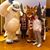 Ashley Loudermilk's profile image