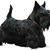 Ibie Hepburn's profile image