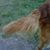 Sandy Hansen's profile image