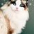 Cathy Hineline's profile image