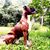 Mitchell Bannister's profile image