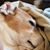 John Furlough's profile image