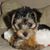 Penny Riddle's profile image