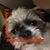 Trish Peterson's profile image