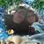 Tina Hicks's profile image