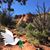 Susan Glenfield's profile image
