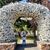 Laura Sawmiller Andren's profile image