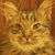 Mindy Kell's profile image