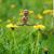 Karin Huntrods Erickson's profile image